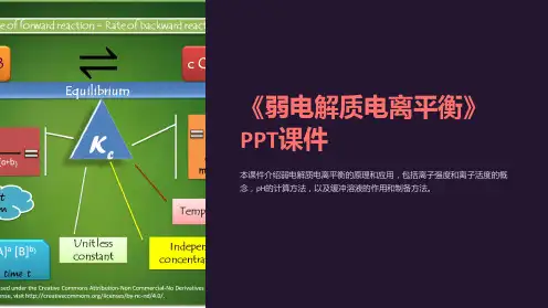 《弱电解质电离平衡》课件