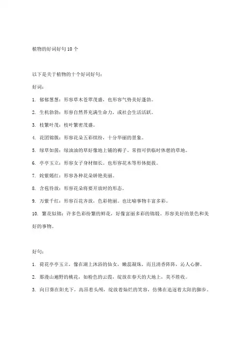 植物的好词好句10个