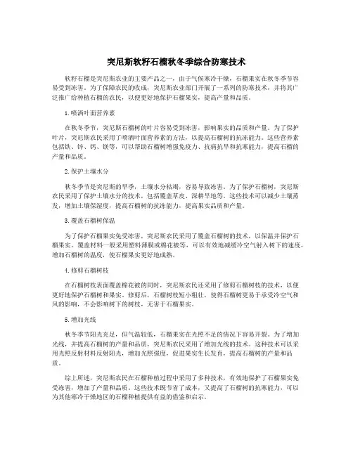 突尼斯软籽石榴秋冬季综合防寒技术