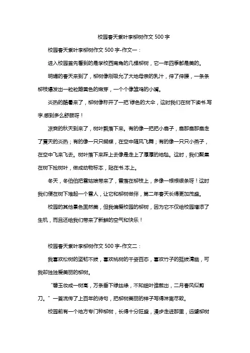 校园春天紫叶李柳树作文500字