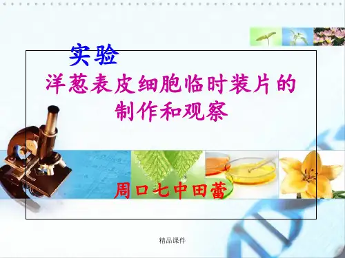 洋葱表皮细胞的制作和观察