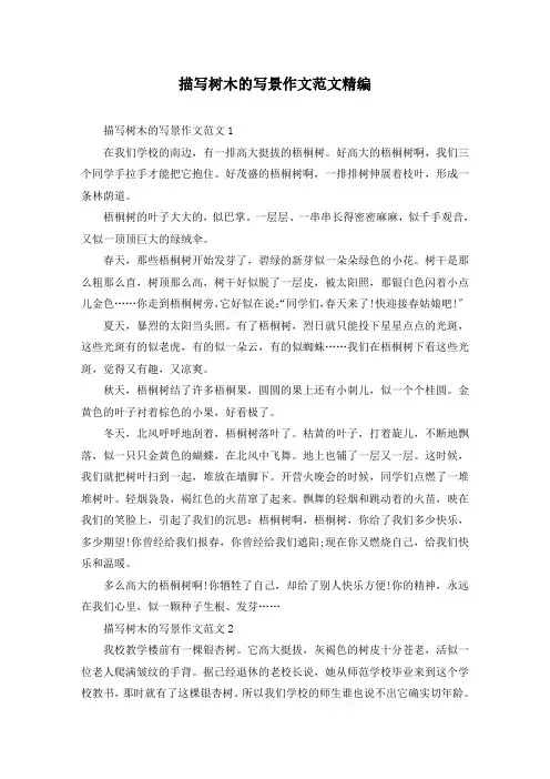 描写树木的写景作文范文精编