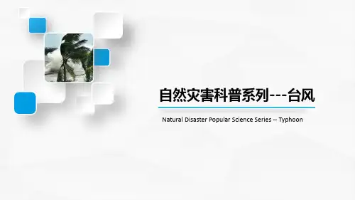 台风科普知识