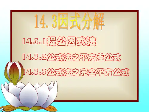 人教版八年级上册14.3.因式分解(共4课时)课件 (共68张PPT)