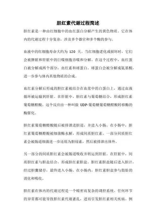 胆红素代谢过程简述