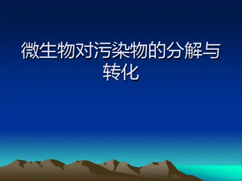 微生物对污染物的分解作用