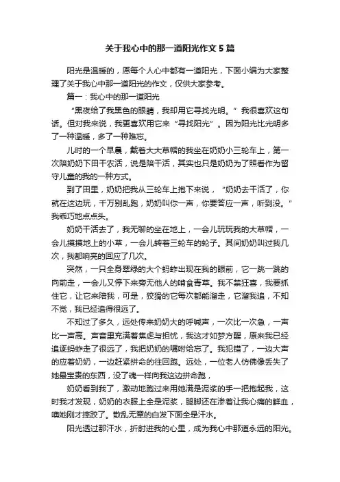 关于我心中的那一道阳光作文5篇