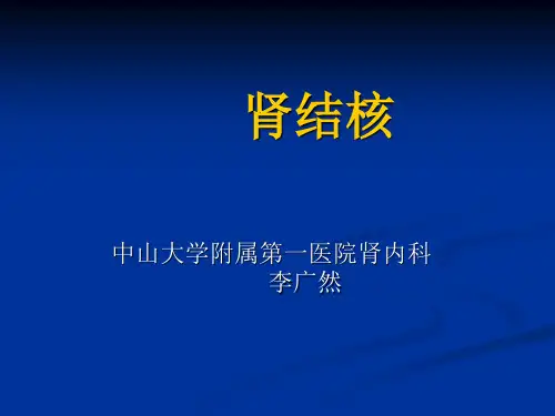 肾结核(高肾班20070928)