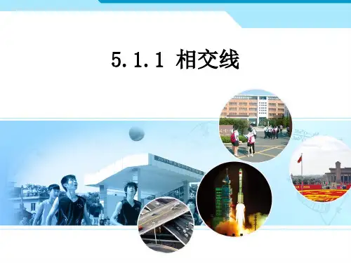 人教版七年级数学下册 教学课件(全册)