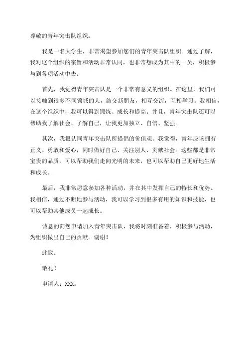 青年突击队申请书范文