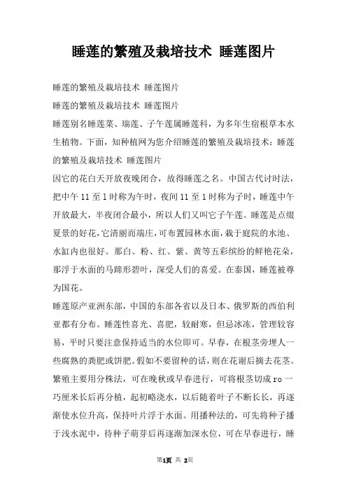 睡莲的繁殖及栽培技术 睡莲图片