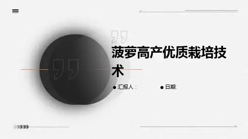 菠萝高产优质栽培技术