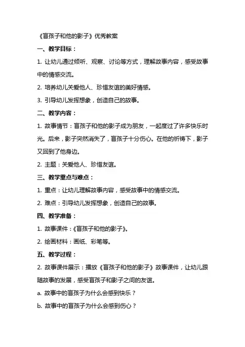 《盲孩子和他的影子》教案