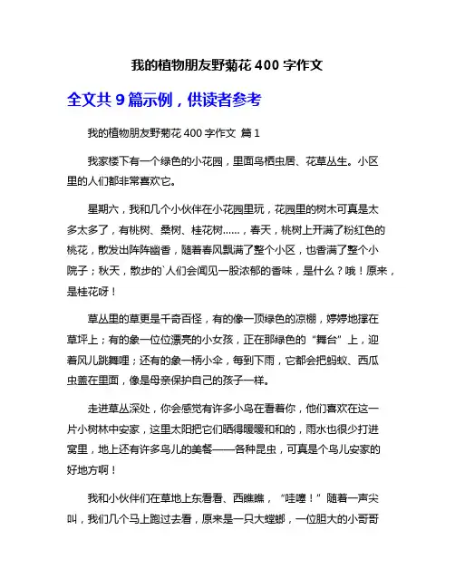 我的植物朋友野菊花400字作文