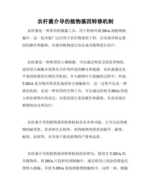 农杆菌介导的植物基因转移机制