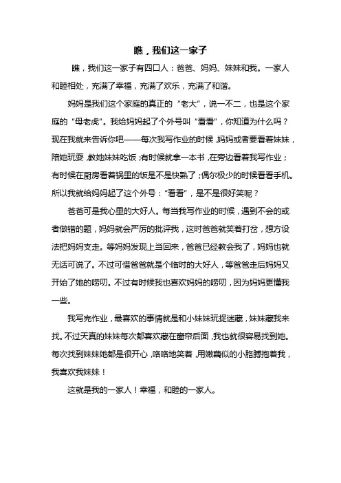 五年级作文：瞧,我们这一家子作文500字