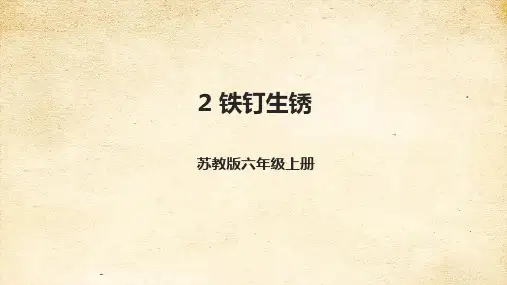 六年级科学上册1-2铁钉生锈 课件(苏教版)