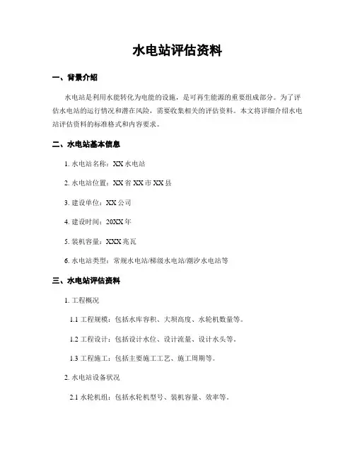 水电站评估资料