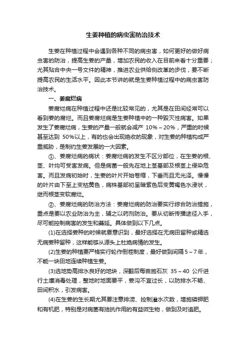 生姜种植的病虫害防治技术