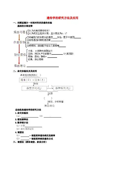 北京市高考生物一轮复习 例题讲解 专题 遗传学的研究方法及应用学案(无答案)