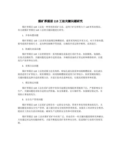 煤矿厚煤层110工法关键问题研究
