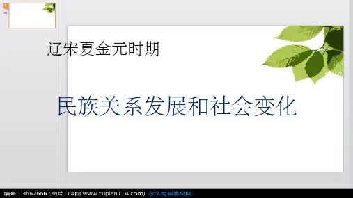 辽宋夏金元时期：民族关系的发展和社会变化