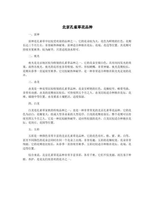 北京孔雀草花品种
