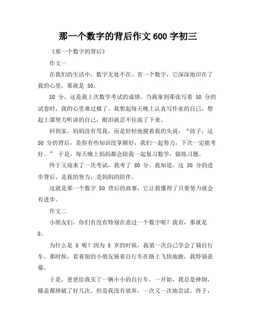 那一个数字的背后作文600字初三