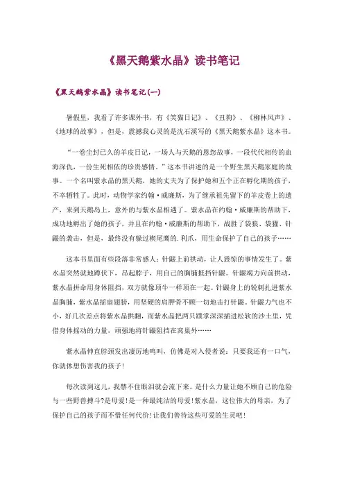 文学_《黑天鹅紫水晶》读书笔记