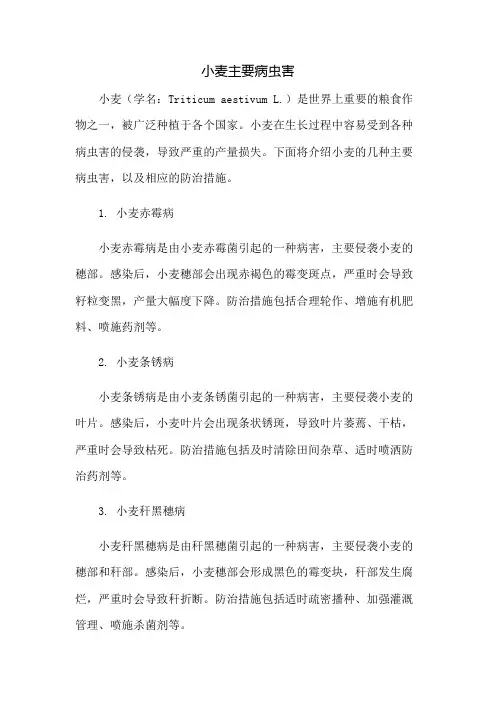 小麦主要病虫害