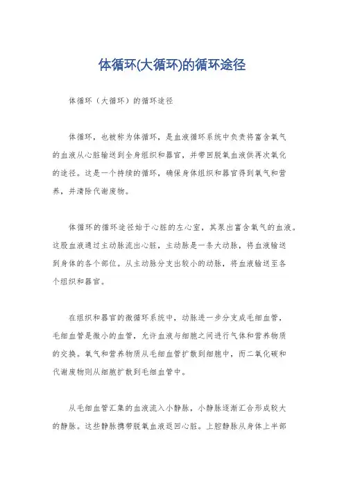 体循环(大循环)的循环途径