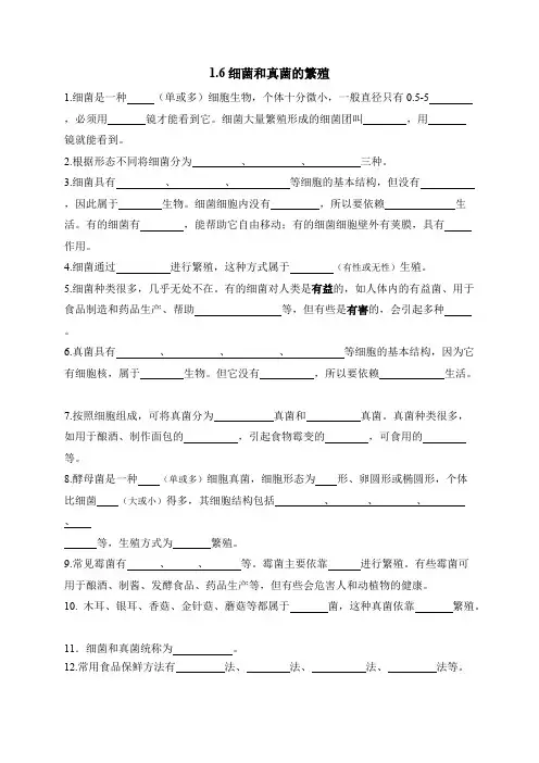 1.6细菌和真菌的繁殖(知识点整理)(最新整理)