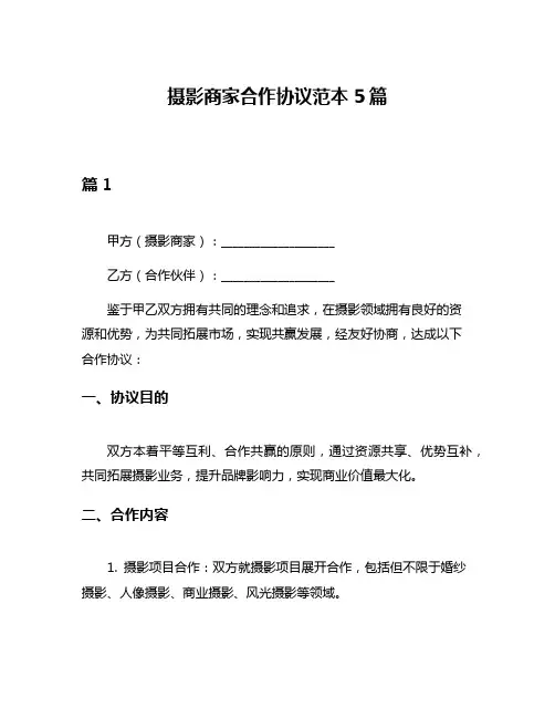 摄影商家合作协议范本5篇