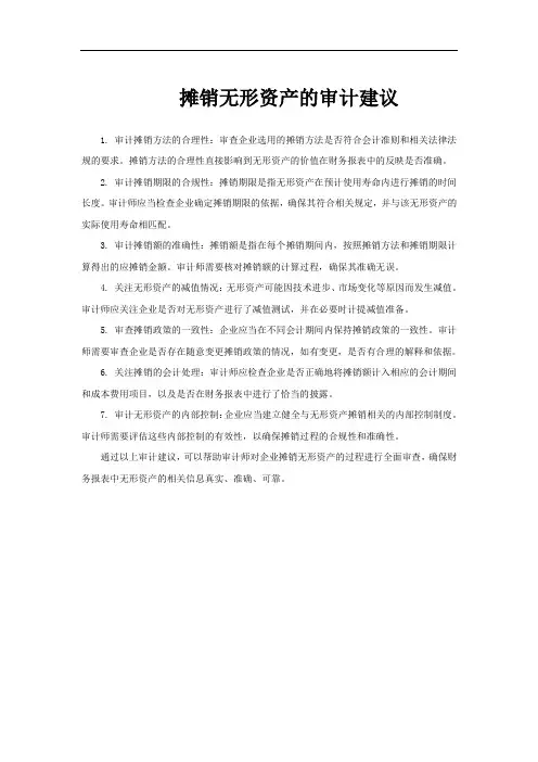 摊销无形资产的审计建议