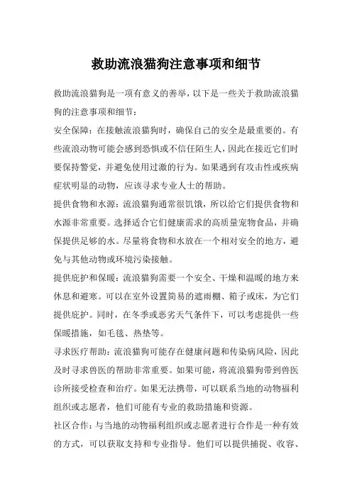 救助流浪猫狗注意事项和细节