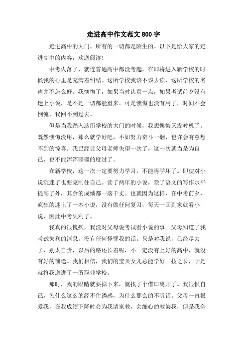 走进高中作文范文800字