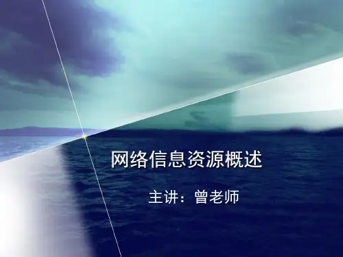 网络信息资源概述