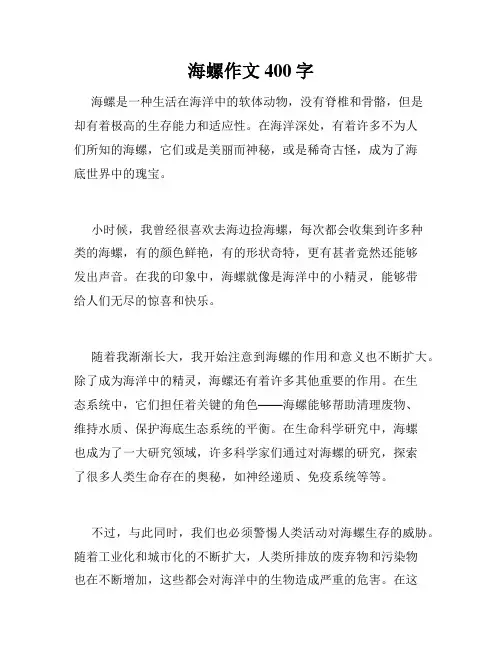 海螺作文400字