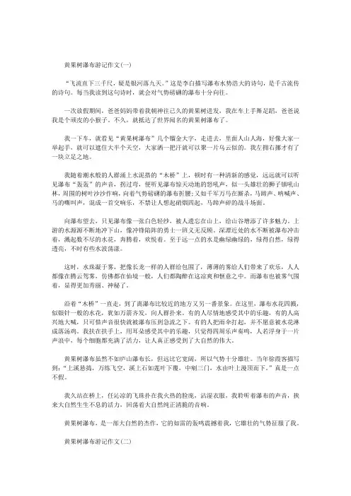 最新黄果树瀑布游记作文六篇