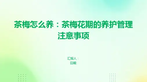 茶梅怎么养：茶梅花期的养护管理注意事项