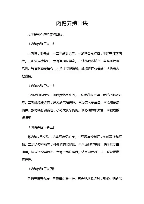 肉鸭养殖口诀