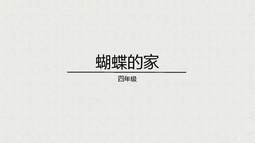 8《蝴蝶的家》  课件(共23张PPT)