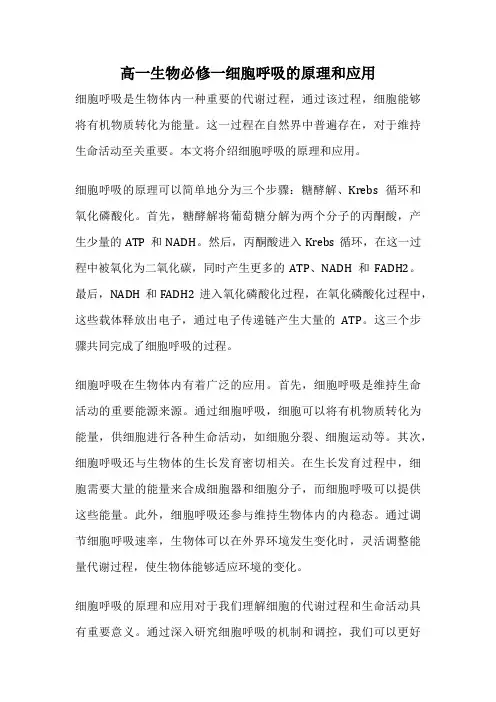 高一生物必修一细胞呼吸的原理和应用