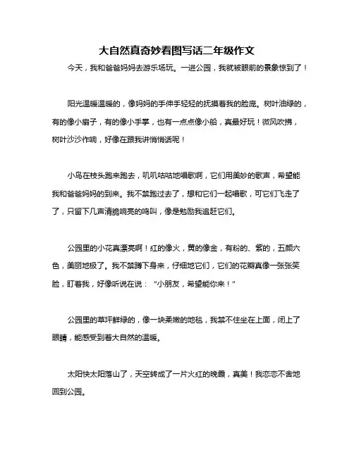 大自然真奇妙看图写话二年级作文