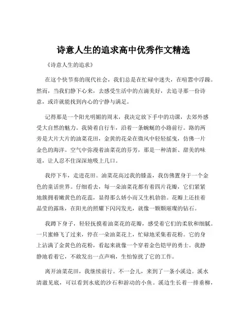 诗意人生的追求高中优秀作文精选