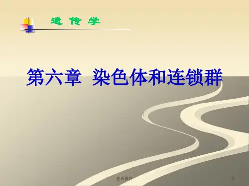 第六章 遗传的连锁互换定律(医学相关)