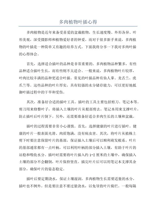 多肉植物叶插心得