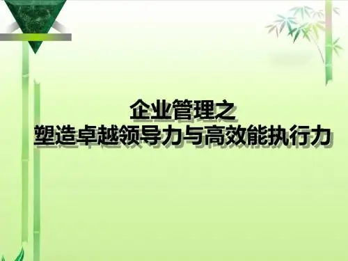 企业管理之塑造卓越领导力与高效能执行力(最终版)