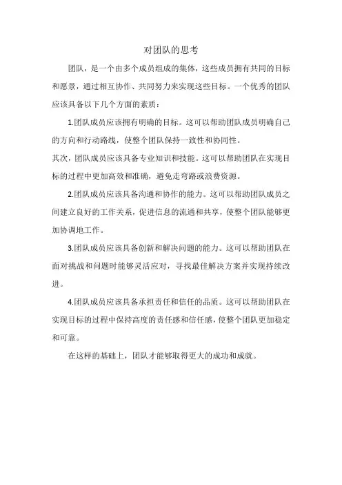 对团队的思考