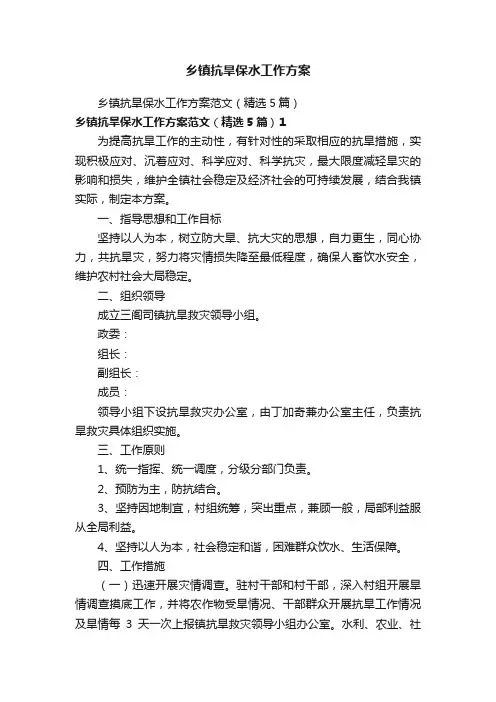 乡镇抗旱保水工作方案